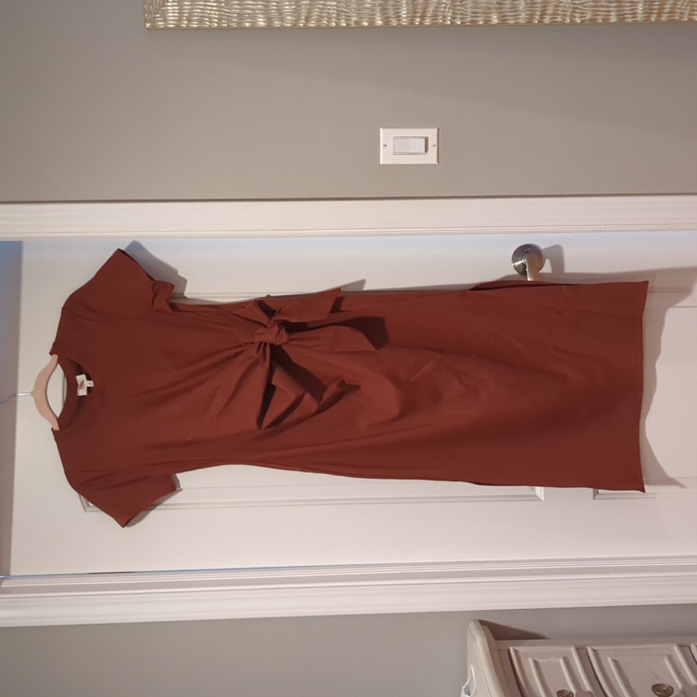NWT Rust Colored Dress - Picture 4 of 4